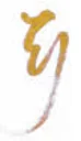 Yoso Coupon Codes